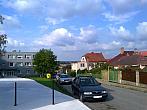 Borovina