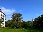 Borovina