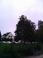 Zlín