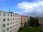 Borovina