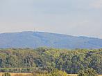 Kvasice