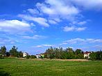 Borovina