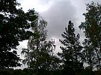 Borovina