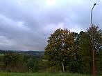 Borovina