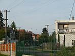 Třibřichy