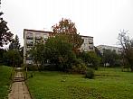 Borovina