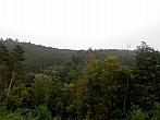 Borovina