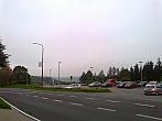 Borovina