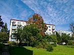 Borovina