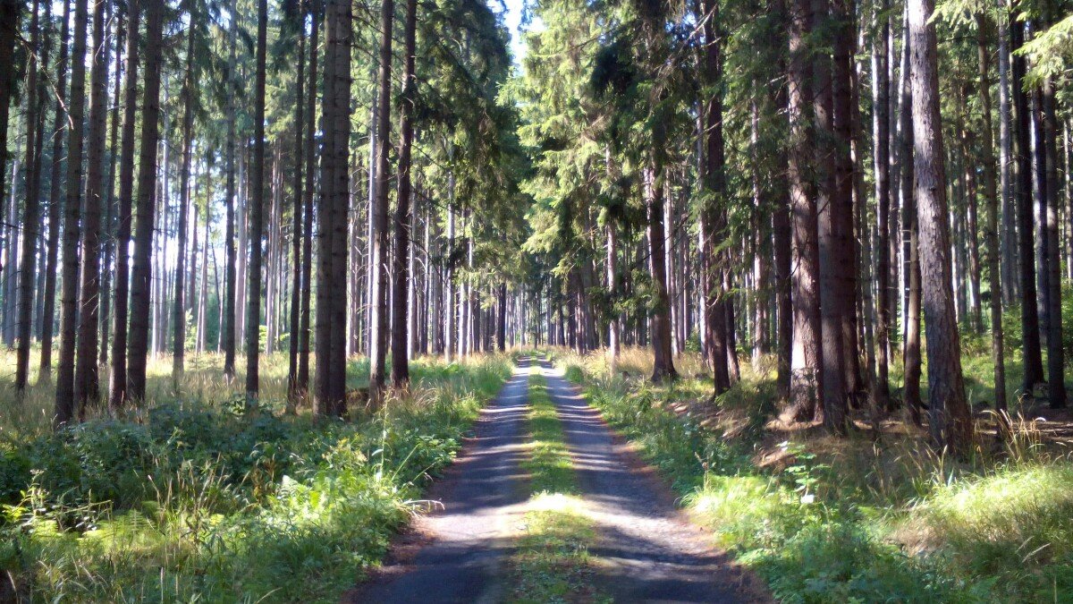 Krnov