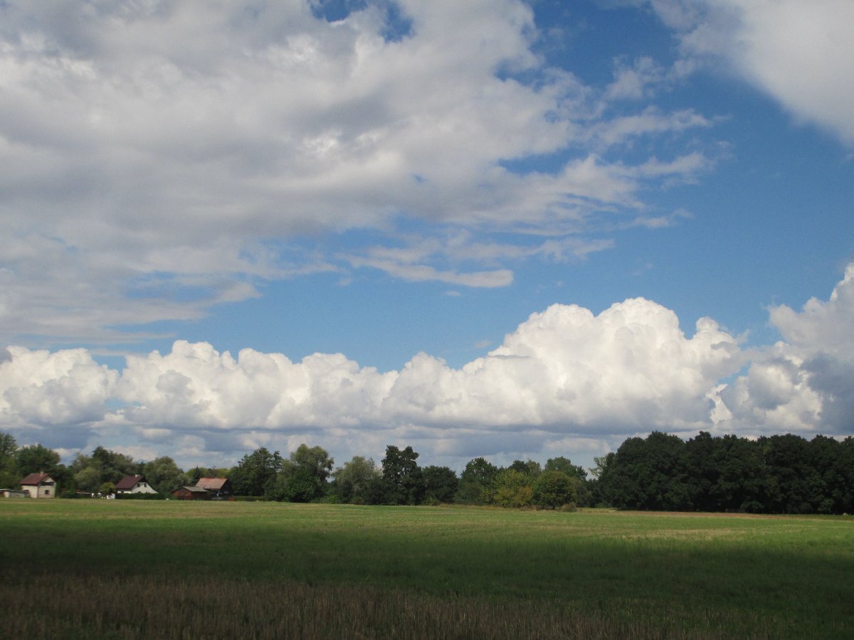 Ostrá