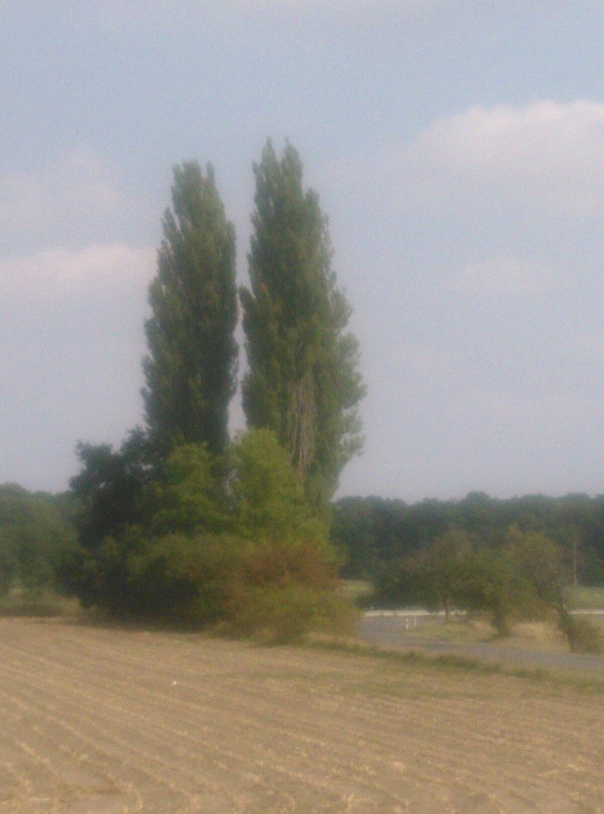 Dětenice