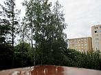 Borovina