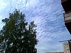 Borovina