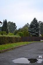 Tučapy