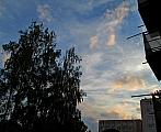 Borovina