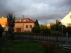 Třibřichy