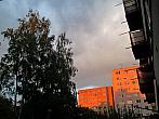Borovina