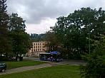 Borovina