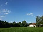 Vidov