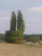 Dětenice