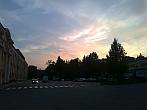Borovina