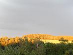 Zajíčkov