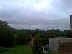 Borovina