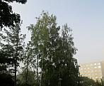 Borovina