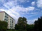 Borovina