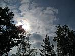 Borovina