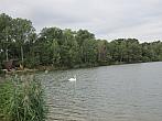 Neratovice