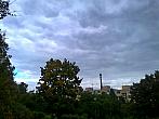 Borovina