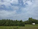 Vidov