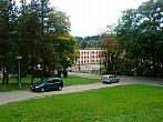 Borovina