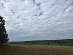 Vidov