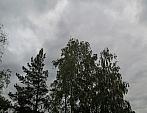 Borovina