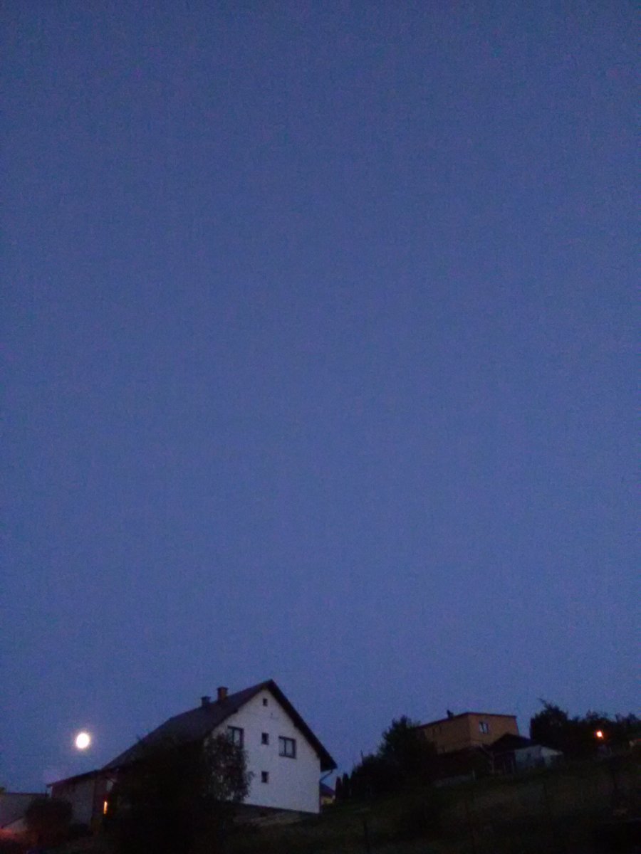 Skalité