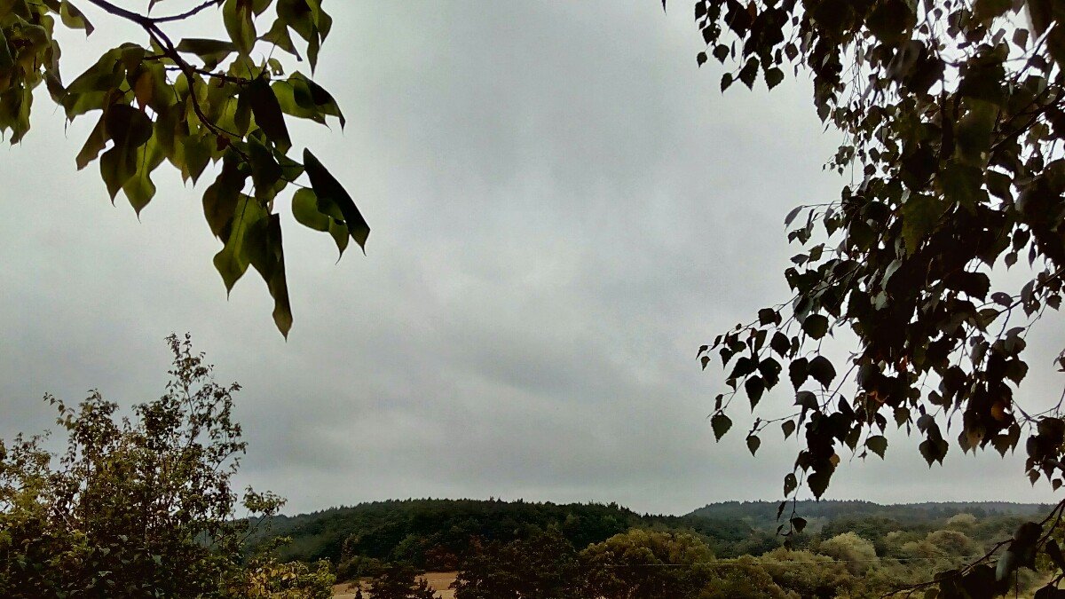 Habrovany