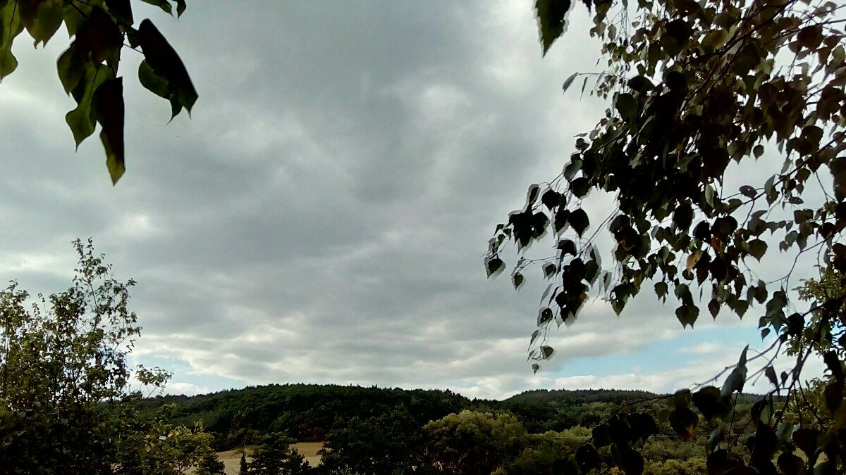 Habrovany