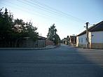 Třibřichy