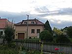 Třibřichy