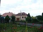 Třibřichy