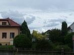 Třibřichy