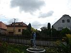 Třibřichy