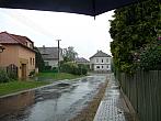 Třibřichy
