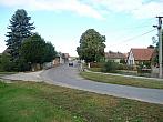 Třibřichy