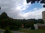 Borovina