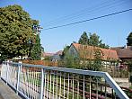 Třibřichy