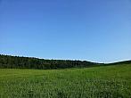 Vidov